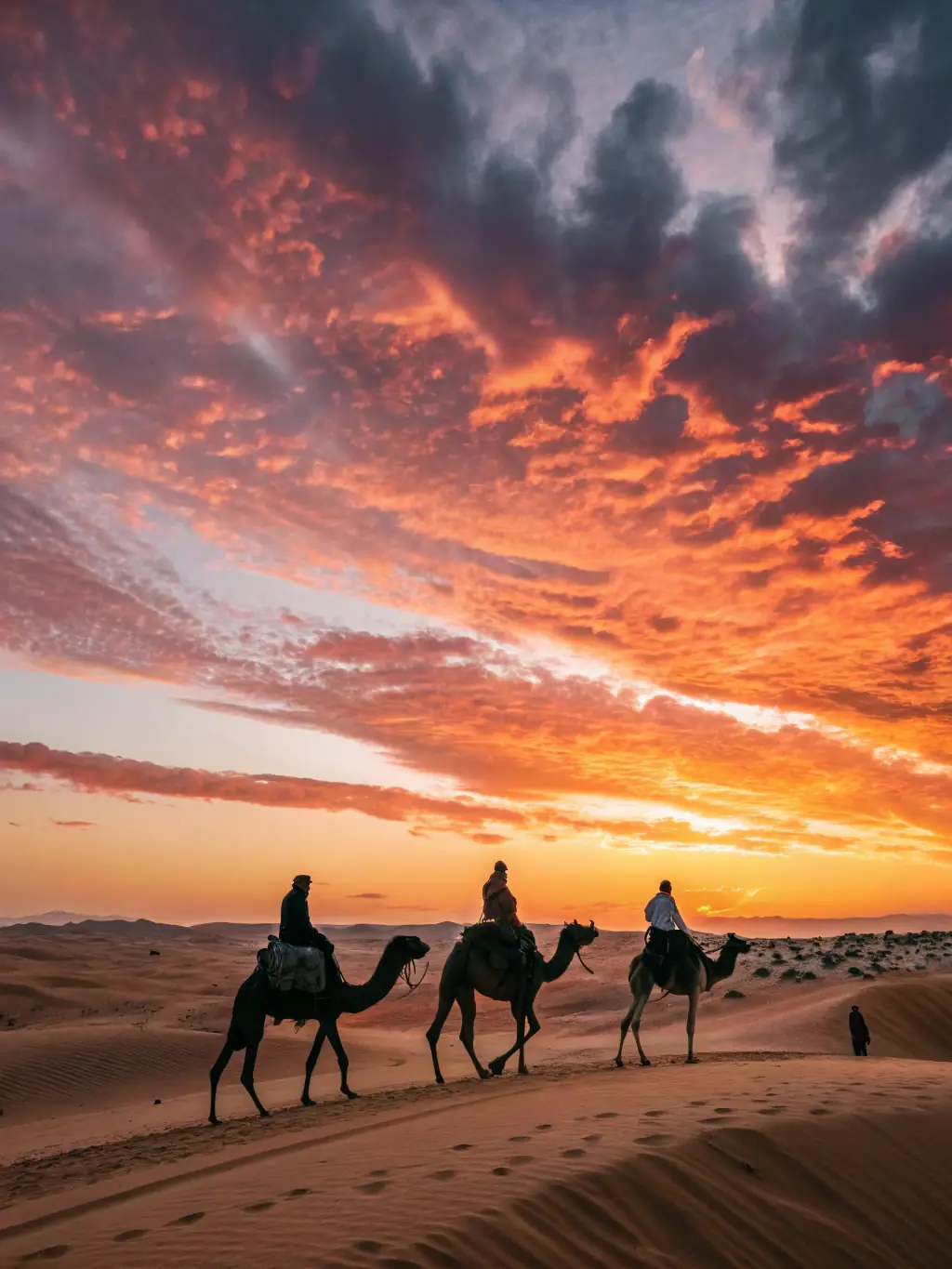 A captivating shot of a camel caravan traversing the arid landscape of the Agafay Desert at sunset, with golden light illuminating the sand dunes.